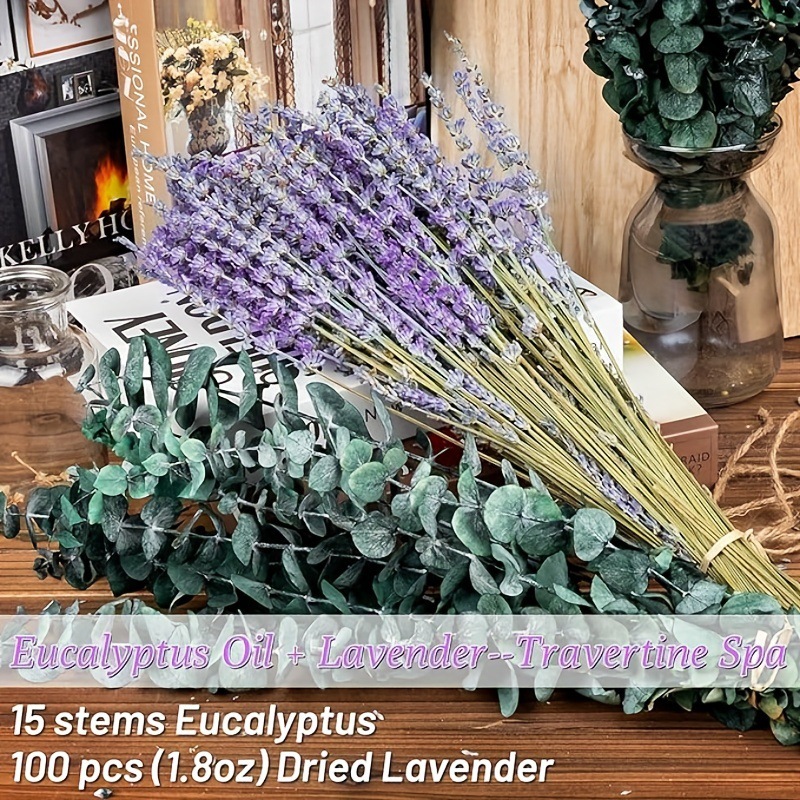 Eucalyptus Preserved - Buquê Seco de Lavanda e Eucalipto
