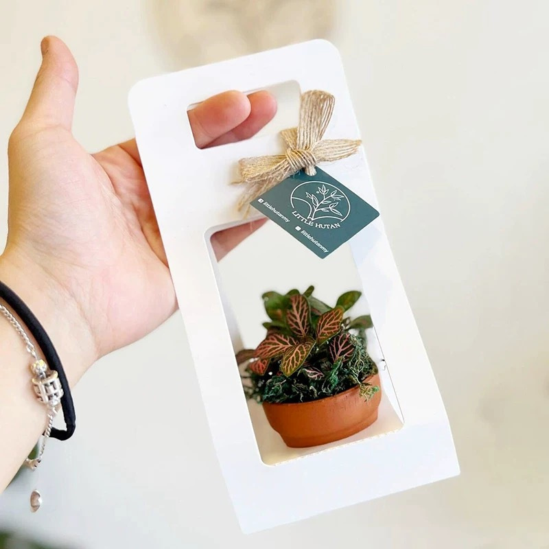 Conjunto de 10 Sacos de Presen - Flower Wrap Kraft avaliação e preço